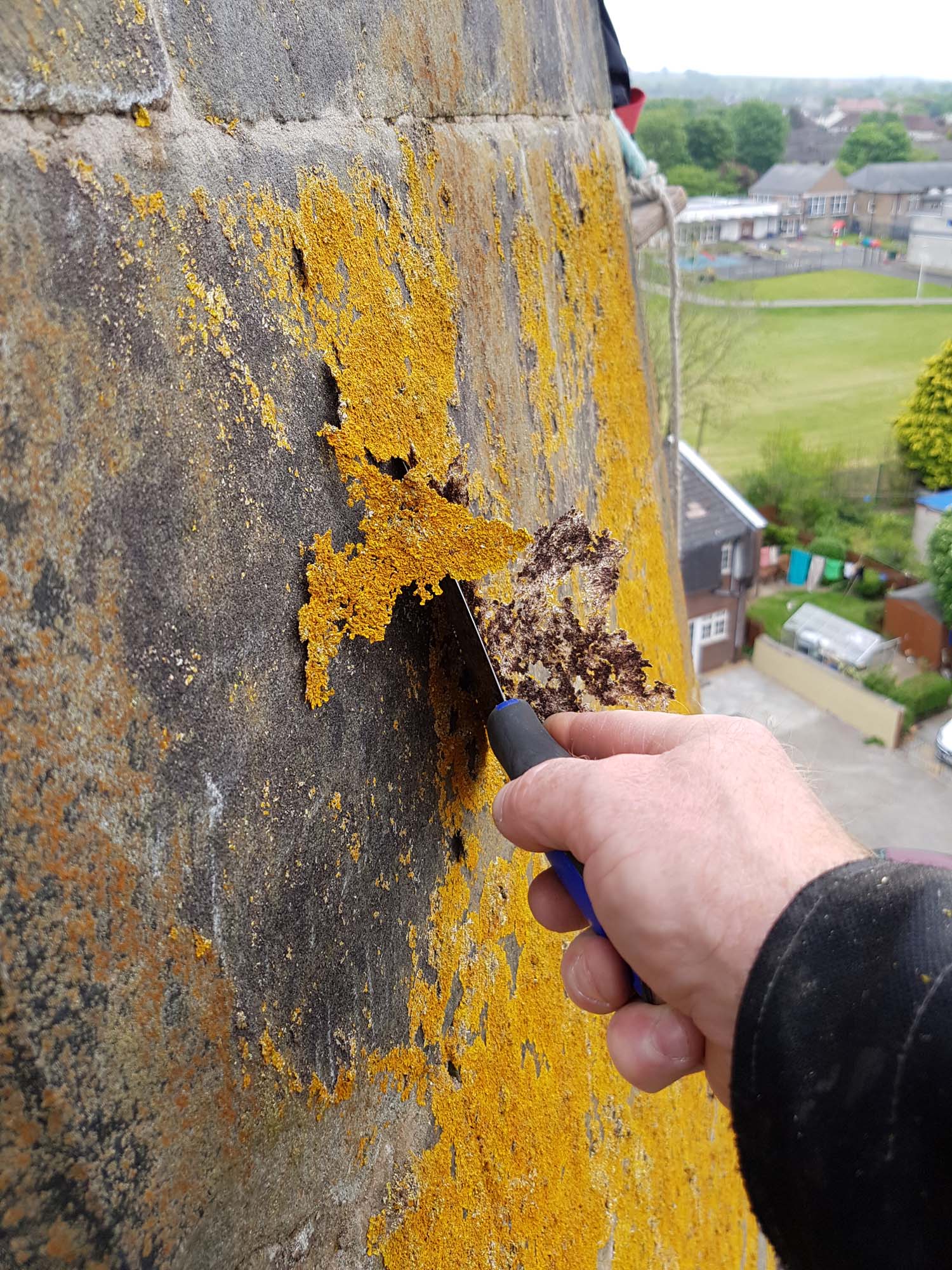 Cleaning a heavily vegetated church spire